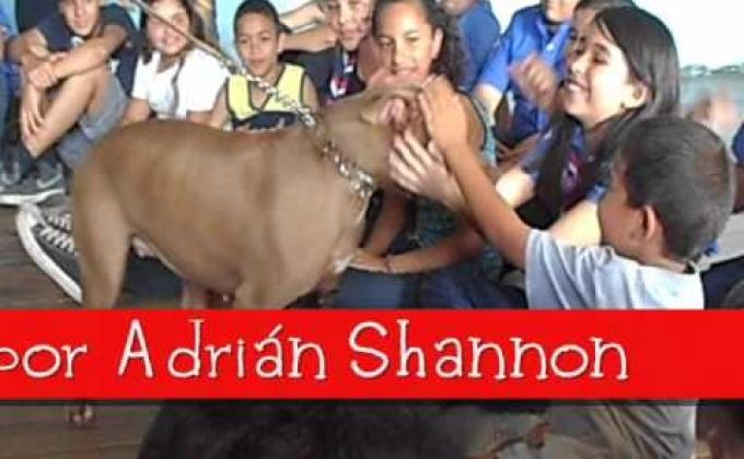 La castracion animal reduce la sobrepoblacion