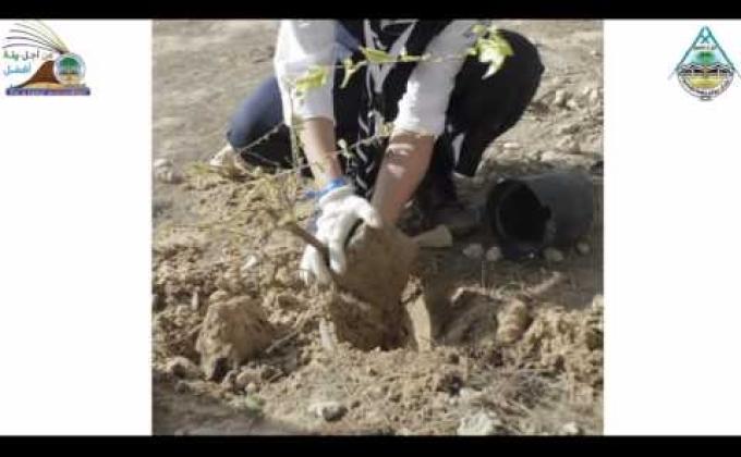 مشاركة عشائر جوالة جامعة القصيم في المعسكر البيئي بالجبيل 2013