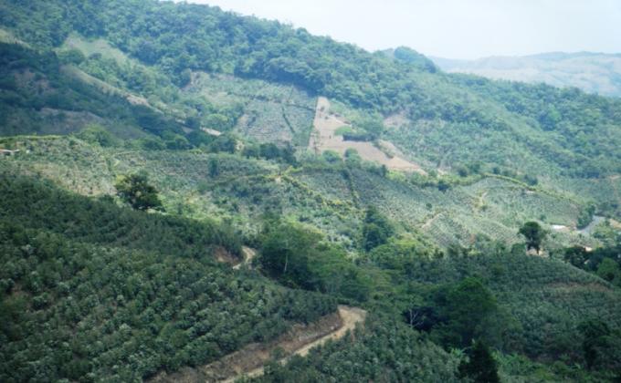 Dejando nuestra huella en los senderos de la ASADA Rincón de Zaragoza. 