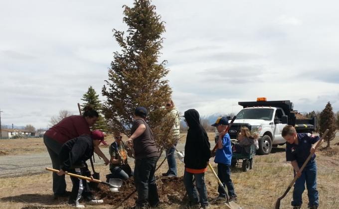 Tree basins for local cemetery