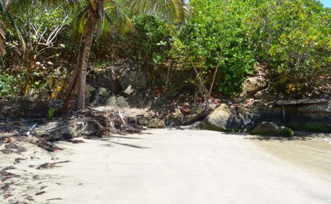 "LIMPIEZA A TODA COSTA"