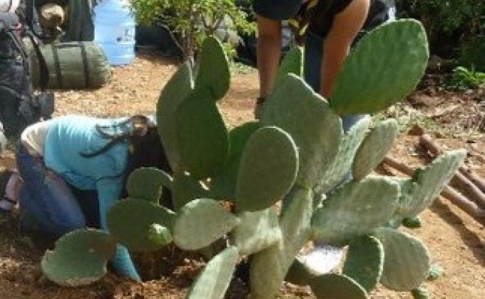 apoyo al Campo Escuela Scout de Arani