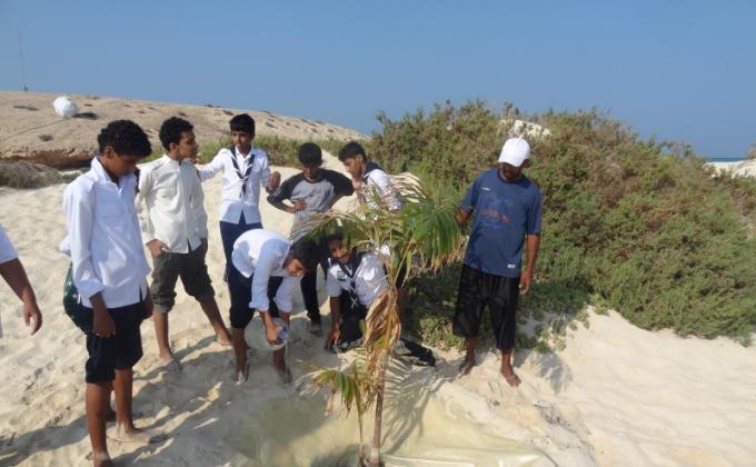احياء الجزر البحرية بمحافظة الليث بأشجار جوز الهند 