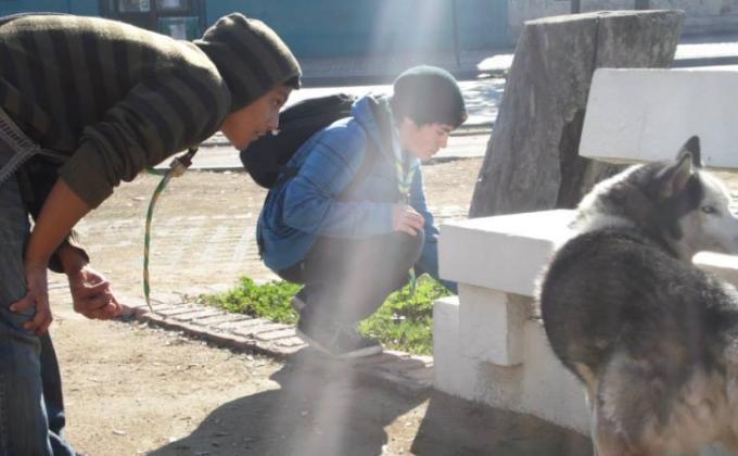 Scouts alimentan perro vagos de la ciudad