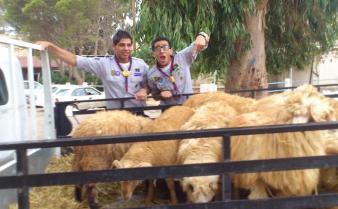 حملة توزيع الأضاحى للأسر المحتاجه بمدينة بنغازى .