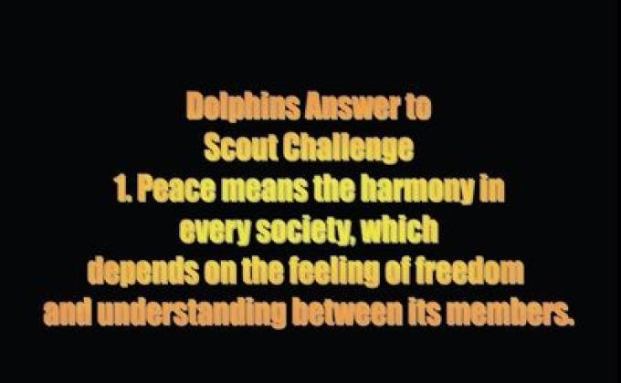 WORLD SCOUT CHALLENGE – JOTI 2008 DOLPHIN PATROL ANTALYA