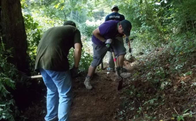Horse Creek Lake Brush Clearing