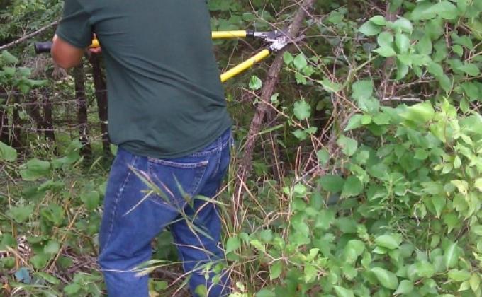 Restoration of Forgotten Graves