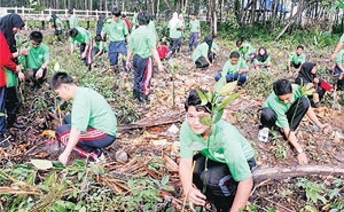 clean up the polluted beach in Malaysia