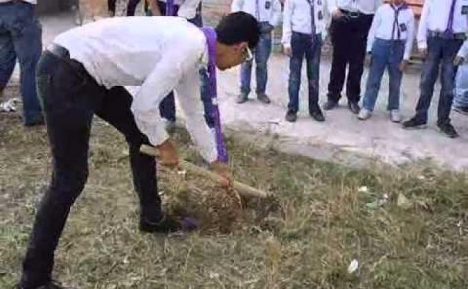 مشروع التشجير وتنظيف المركز