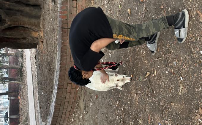 Taking Care of dog
