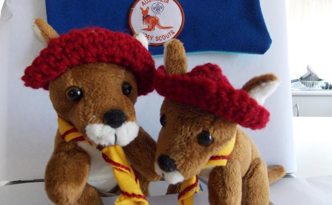 Joey Scouts/Beaver Scouts communicate through the sharing of experiences