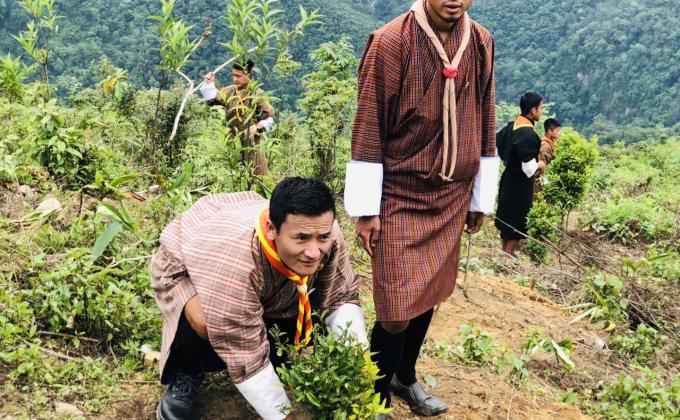 Social Forestry Day