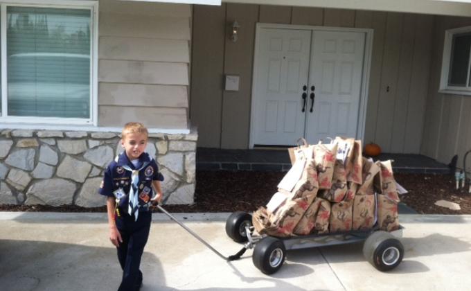 Cub Scouts Organizing A Food Drive
