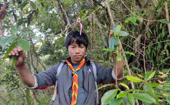 Learning Survival Skills in the Woods
