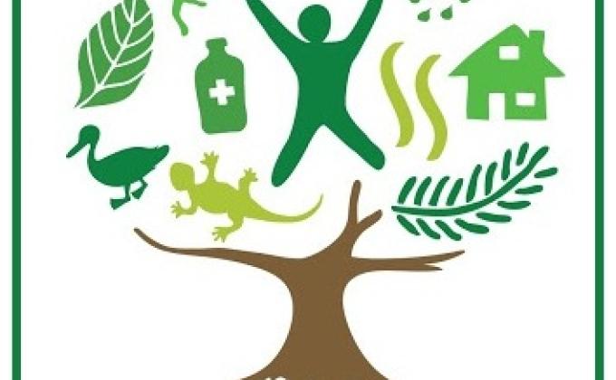 Raíces "Sembrando un Nuevo Grupo"