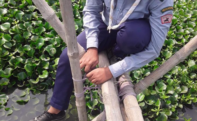 সাকু মেরামত 