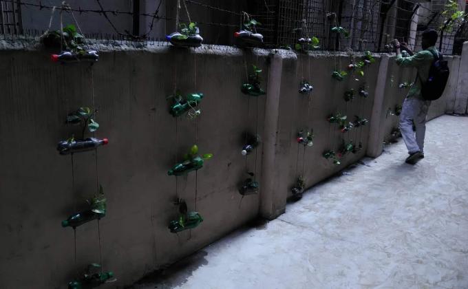 Tree Plantation With plactic bottles 