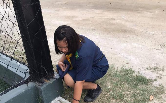 เก็บขยะ