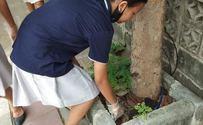 กิจกรรมเก็บขยะ