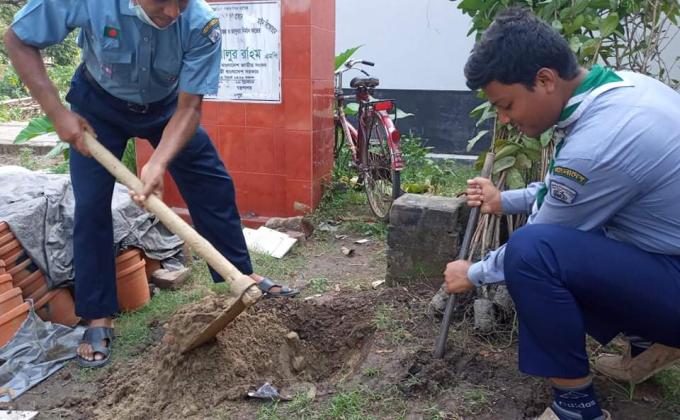 Tree plantation 