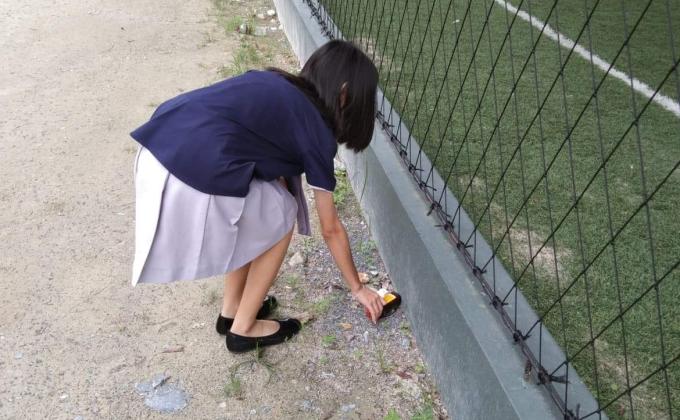 เก็บขยะโรงเรียน