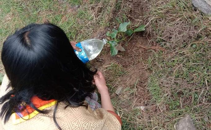 Tree plantation!