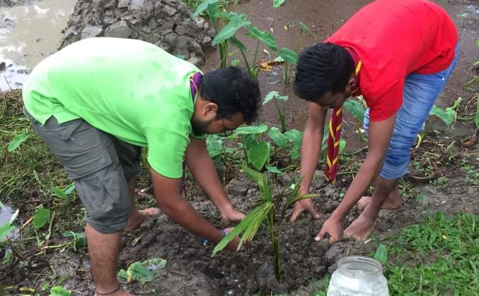 বিশ্ব পরিবেশ দিবস ২০২০