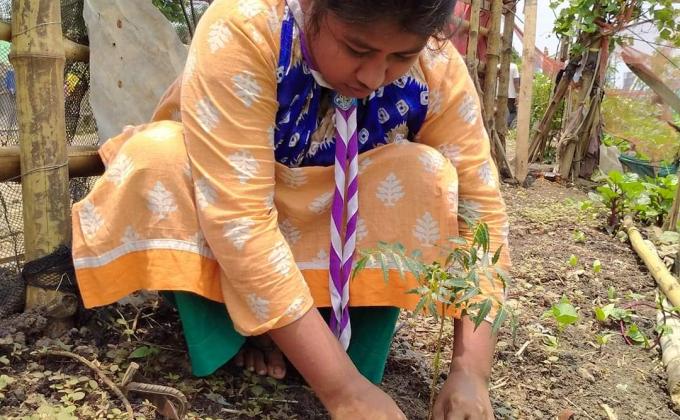 বৃক্ষ রোপন 