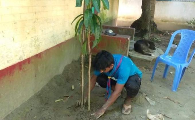 বৃক্ষ রোপণ 