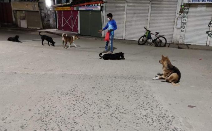 বেওয়ারিস কুকুর দের খাবার বিতরন