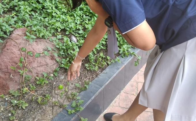 จิต​อาสา​