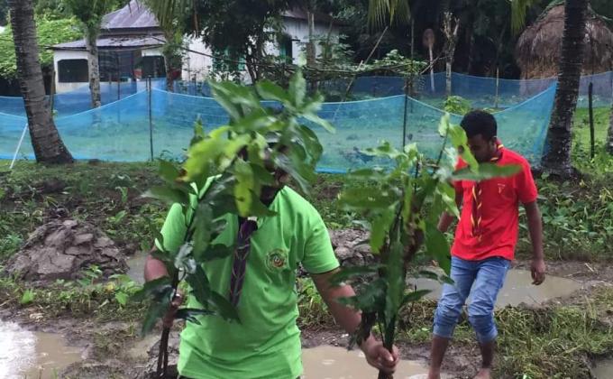 বৃক্ষ রুপন কর্মসূচি 