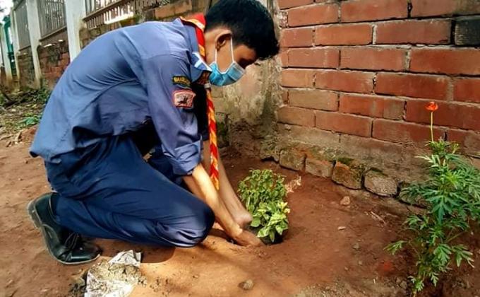 বৃক্ষরোপন কর্মসূচি