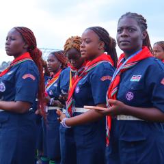 Profile picture for user peacock rover crew 