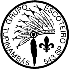 Profile picture for user getupinambas@gmail.com