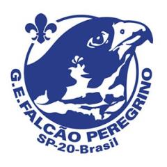 Profile picture for user alcateia falcão sp20