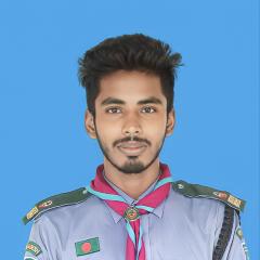 Profile picture for user mohammad mahmudul hasan