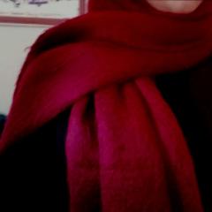 Profile picture for user sedragharaibeh4@gmail.com