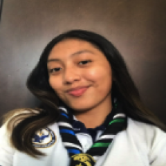 Profile picture for user kate ku